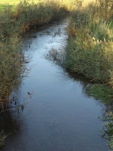 Fiskeri forbudt 2.JPG Fiskeri forbudt 2.JPG