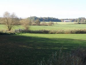 Garten der Mühle.JPG