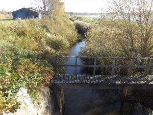 Bröns Mölle stromauf.JPG