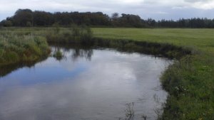 Schöne Kurve.JPG Schöne Kurve.JPG