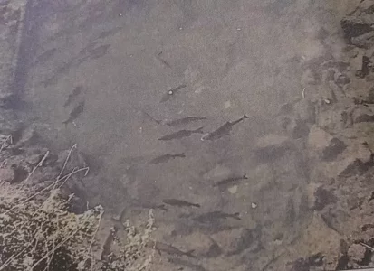 WP_20181021_13_41_53_Pro (2).webp