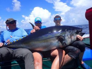 44668919_10215924283373282_7846405551821946880_n.jpg 44668919_10215924283373282_7846405551821946880_n.jpg