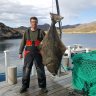 Nordkappangler