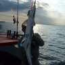 Fishhunter0711