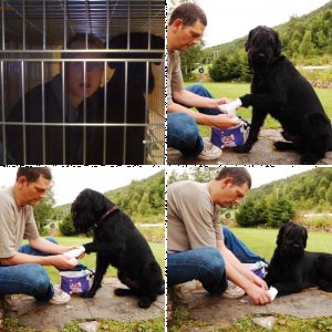 Paulus von Di's Dämonen