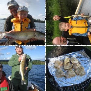 Schweden (Nord-Värmland Mix)