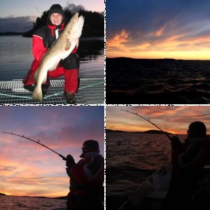 Fröya Havfiskesenter