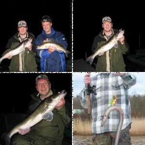 Hechte, Zander, oder anderes