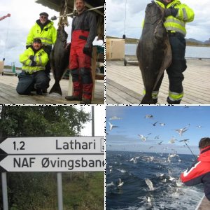 Sonstiges vom Nordkap