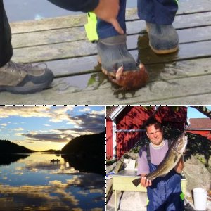 Südnorwegen September 2007