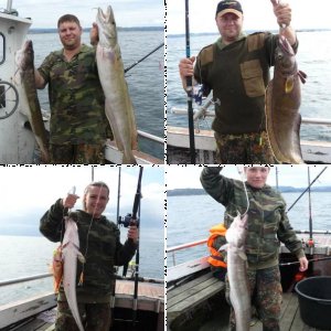 Urlaub Aptafjord 2009