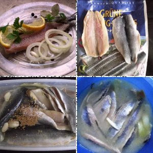 Matjes selber machen