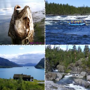 Meine Lieblingsbilder