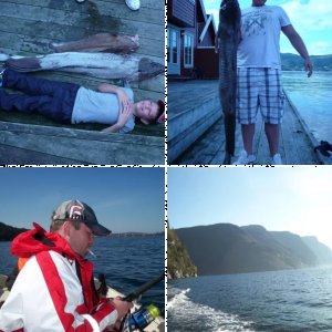 Einfach ein paar Bilder