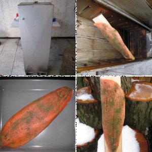 Räuchern zu Weihnachten 2009