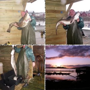 Meine ersten Meterfische