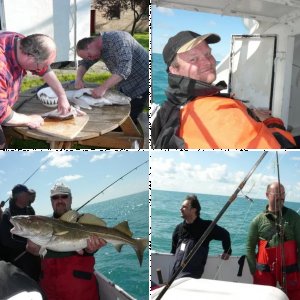 Gelbe Riff Tour 2010