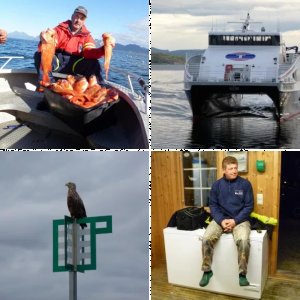 5.Vestfjord-Cup in Steigen