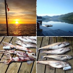 Norge 2010/Querschnitt