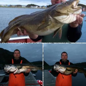 Lauvsnes - Zanzibar inn