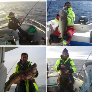 Bilder Reisebericht Gjesvaer