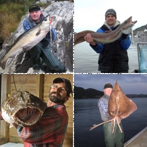 Aus dem Fjord Langenuen