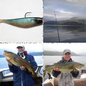 Bilder von Member "Mefo" am Halsafjord!