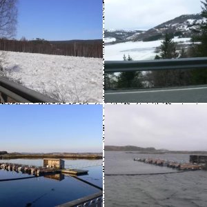 Bilder Reisebericht 8 Ulvøya