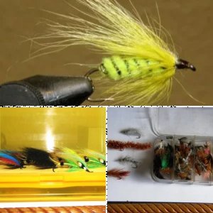 Meine Fliegenschachtel