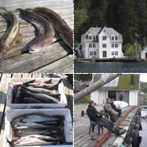 Angelurlaub Tysnes Flatraker