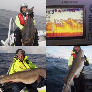 Sørøya 11-19 März 2014