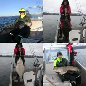 Maribell Kvalsund 2014