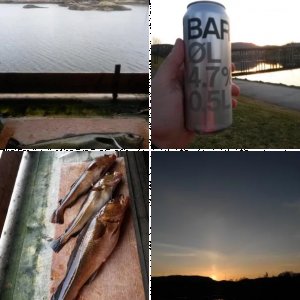 Norwegen 2014 - Fjellværsøya