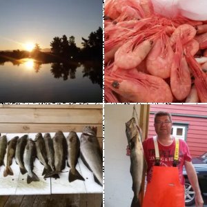 BÖMLO - die Insel, die einen nicht mehr los lässt