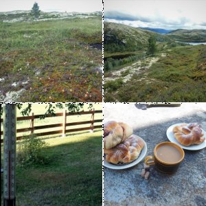 Tynset-Glomma/ Tunna