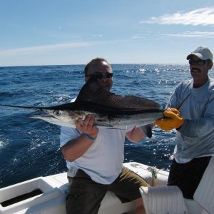 Einmalig!! Baby Marlin!