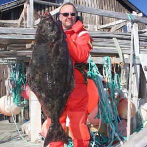 IGFA World Record 20lbs
Atlantic Halibut