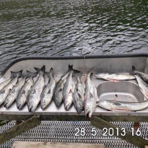 erfolgreich nach 3 stunden