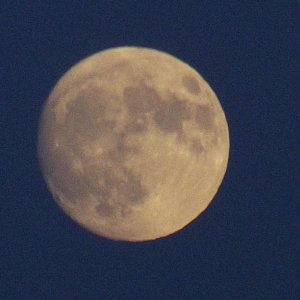 DSCF0304
