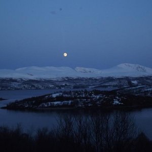 DSCF0302