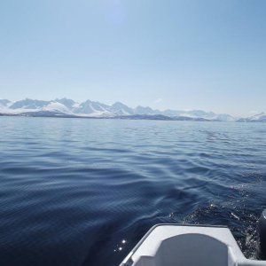 DSCF0264