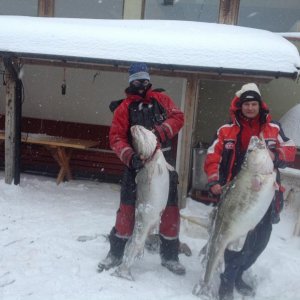 31,5 und 30 kg