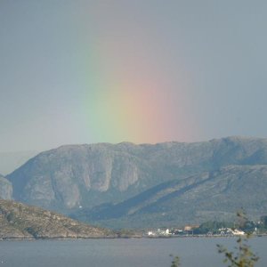 P1000779