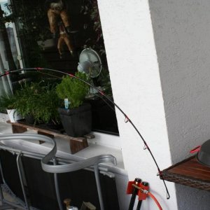 IMG 8313