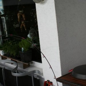 IMG 8312