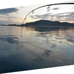 Fischen nach Mitternacht