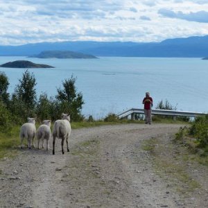 Wanderung Ostseite 5