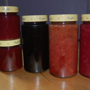 DSC 0161