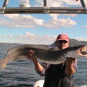 der letzte Fisch der Tour: Leng 125cm