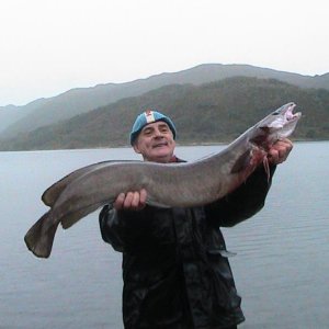 endlich ein ,,Meterfisch``
